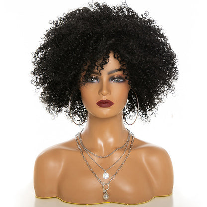 Afro Kinky Curly Hair Wigs Afro Kinky Curly Hair Wigs